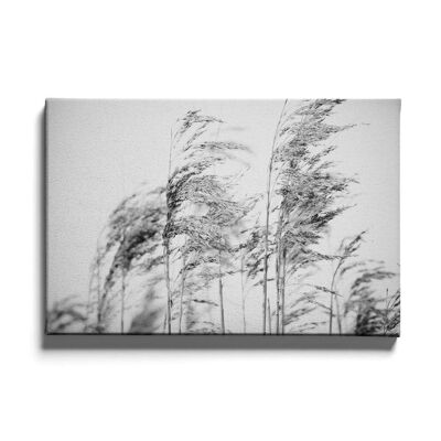 Walljar - Weizenkörner im Wind - Leinwand / 60 x 90 cm