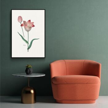 Walljar - Tulipa II - Affiche avec cadre / 30 x 45 cm 3