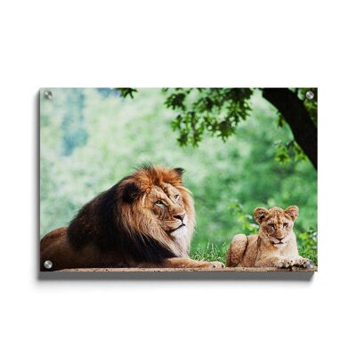 Walljar - Two African Lions - Plexiglass / 80 x 120 cm