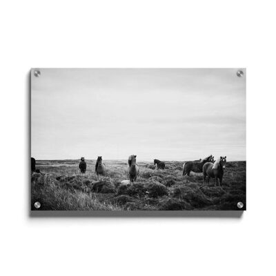 Walljar - Wilde Paarden - Plexiglas / 40 x 60 cm