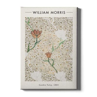 Walljar - William Morris - Tulipano da giardino - Tela / 50 x 70 cm