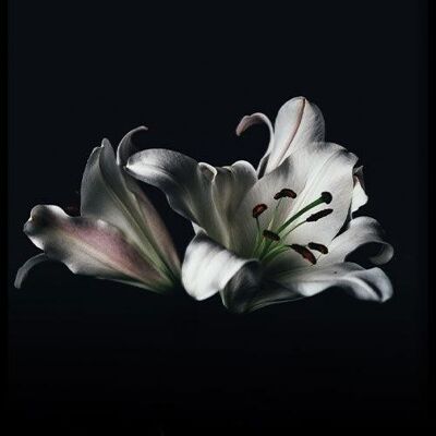 Walljar - White Lilies - Poster with frame / 30 x 45 cm