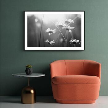 Walljar - Marguerites blanches - Affiche avec cadre / 30 x 45 cm 2