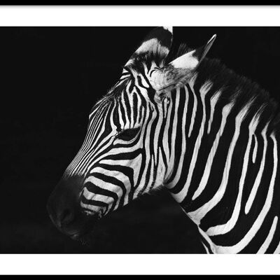 Walljar - Zebra - Poster mit Rahmen / 50 x 70 cm