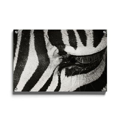 Walljar - Zebra aus nächster Nähe - Plexiglas / 150 x 225 cm