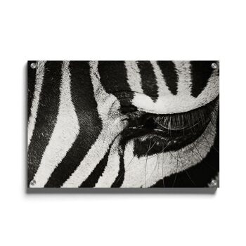 Walljar - Zebra Up Close - Plexiglas / 150 x 225 cm 1