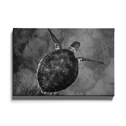 Walljar - Zeeschildpad - Canvas / 80 x 120 cm