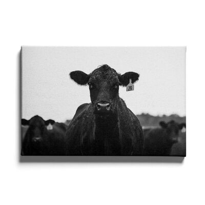 Walljar - Schwarze Kuh - Leinwand / 30 x 45 cm
