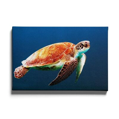 Walljar - Schwimmende Schildkröte - Leinwand / 80 x 120 cm
