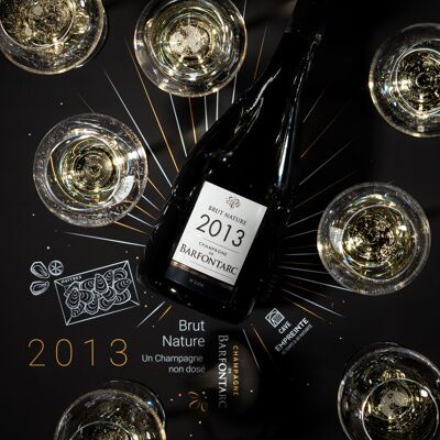 Champagner - BRUT NATUR - 2014