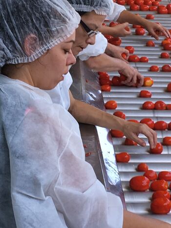 Tomates entières de Provence pelées au jus basilic boite 1/2 3