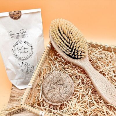 Shampoo solido naturale per capelli grassi/a tendenza forfora - Les Fées Purifiant - 50g