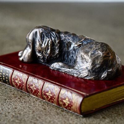 Spaniel on Book Paperweight Bronzed SAGE GREEN