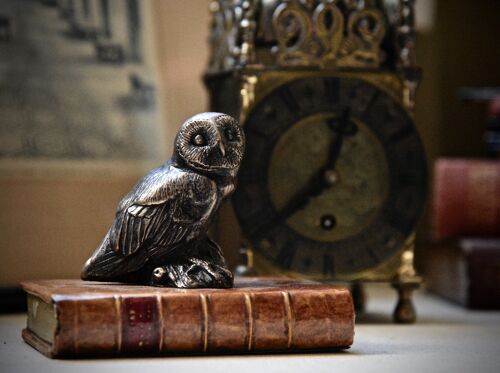Owl on Book Paperweight Bronzed VELLUM WHITE