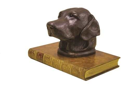 Labrador Head on Book Paperweight Bronzed RED