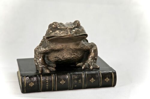 Toad on Book Bronzed BLACK