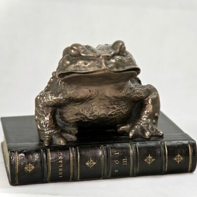 Toad on Book Bronzed BLACK