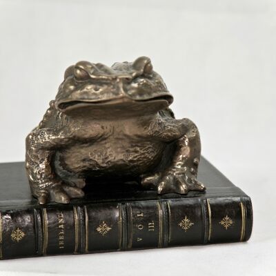 Kröte auf Buch Bronzefarbenes BRAUNES LEDER