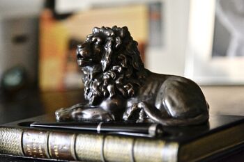 Porte-stylo livre avec lion bronzé VERT SAUGE 4