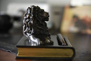 Porte-stylo livre avec lion bronzé VERT SAUGE 7