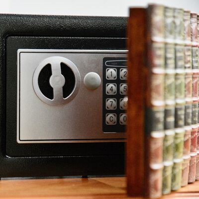 Bookcase Safe MULTI COLOURS