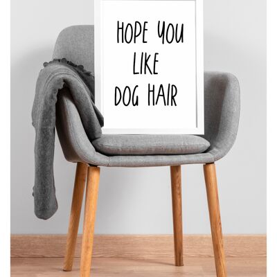 Espero que te guste el pelo de perro/gato A5, A4, A3 Póster divertido Arte de pared | impresión tipográfica monocromática - A5