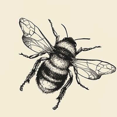 Wall Print – Queen Bee
