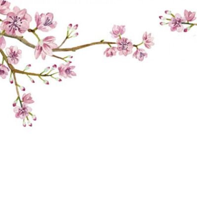 Hand-painted Cherry Blossom
