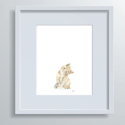 Baby Animals "Kitten & Friend" - Hand-drawn Illustration