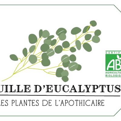 Eukalyptus - Bio