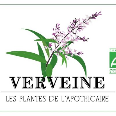 Verbena - Organic