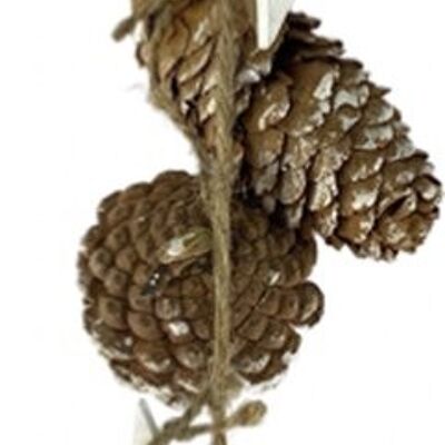 Fionda Decoratie Kerst - Ghirlanda Stella Pigna | 75 cm | Cinghia di fissaggio extra lunga per materiali naturali | Spirito