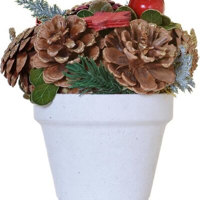 Kerststuk en maceta - Estrella roja | ø 12 x 15 cm | Decoratieve y goed gevulde kerstdecoratie in stevige pot met natuurlijke materialen on rode detalles | Ingenio