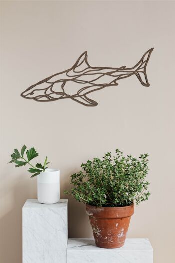 Requin - 70cm - Noyer 1