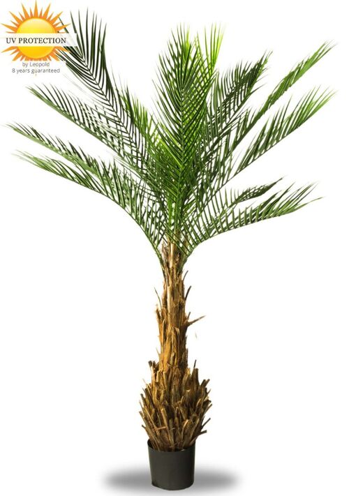 Artificial Phoenix palm 170 cm UV