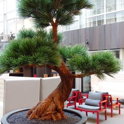 Albero di Pinus Bonsai Artificiale 80 cm UV