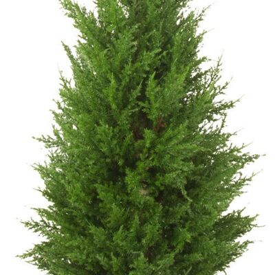 Árbol de coníferas artificial 120 cm UV