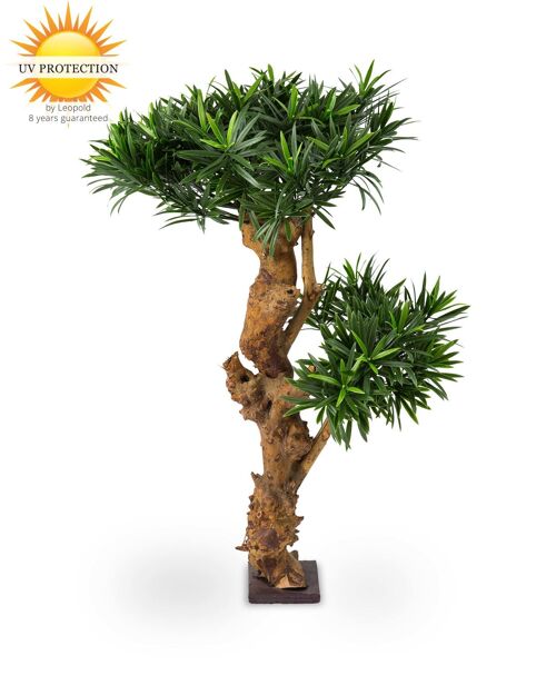 Design Artificial Podocarpus plant 70 cm UV