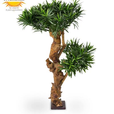 Design Pianta Podocarpus artificiale 70 cm UV
