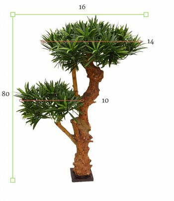 Conception Plante Artificielle Podocarpus 70 cm UV 6