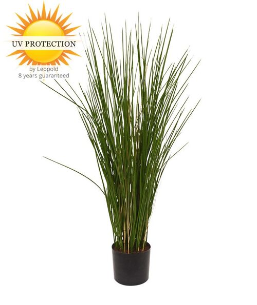 Artificial Ornamental Grass Plant 80cm UV Protected
