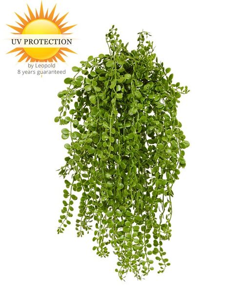 Artificial Dischidia nummularia hanging plant 40 cm UV