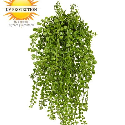 Plante suspendue artificielle Dischidia nummularia 40 cm UV