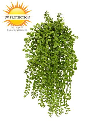 Plante suspendue artificielle Dischidia nummularia 40 cm UV 1