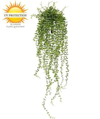 Plante suspendue artificielle Callisia 70 cm UV