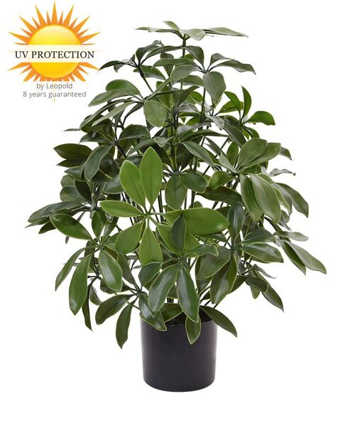 Artificial Schefflera plant 50 cm UV