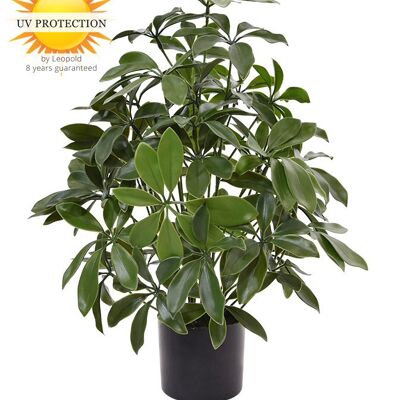 Plante artificielle Schefflera 50 cm UV