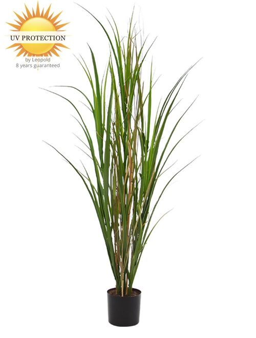 Artificial Reed grass plant 120 cm UV