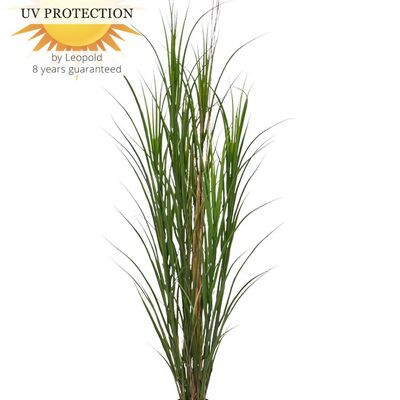 Artificial Reed Grass plant 165 cm UV