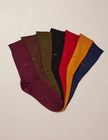 Coffret de 7 Chaussettes Multicolor 2